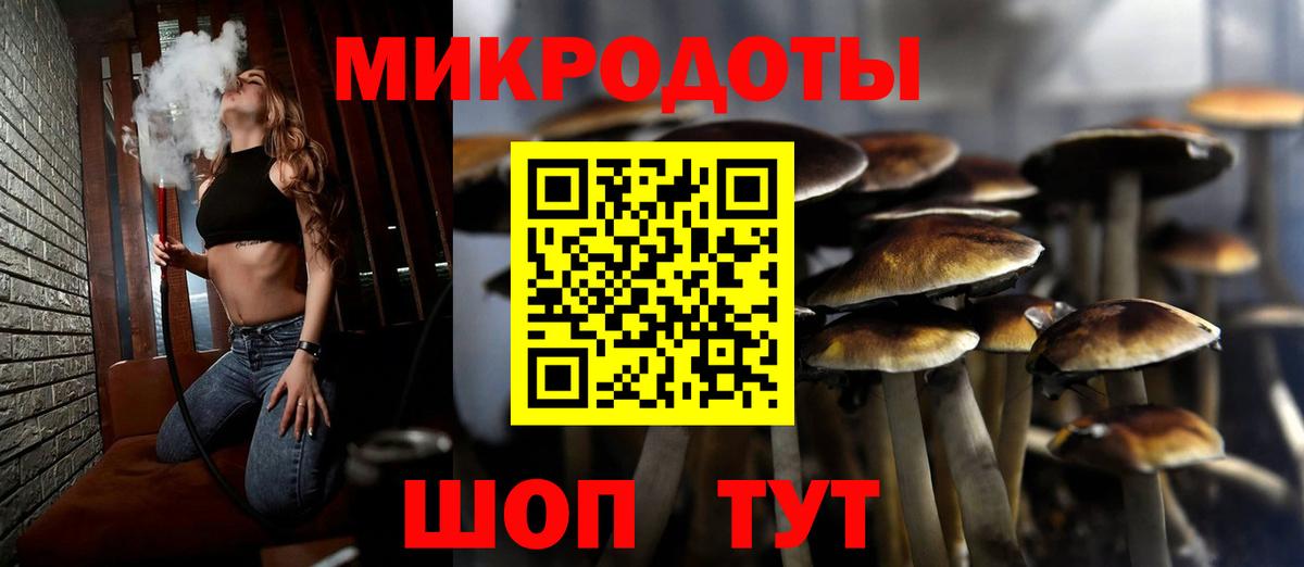 Ачхой-Мартан  Псилоцибиновые грибы MAGIC MUSHROOMS  Вход с VPN 